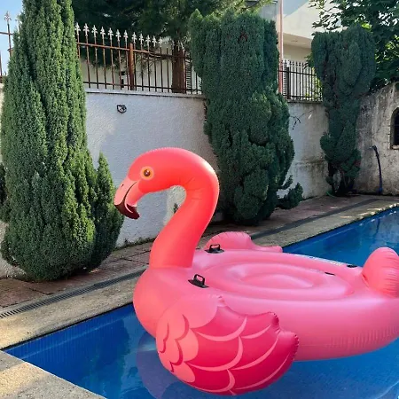 公寓 Cozy Little House Shkodër